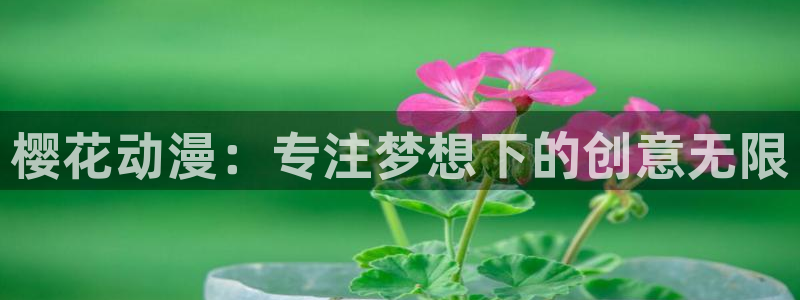 omofun动漫官方app下载：樱花动漫：专注梦想下的创意无限