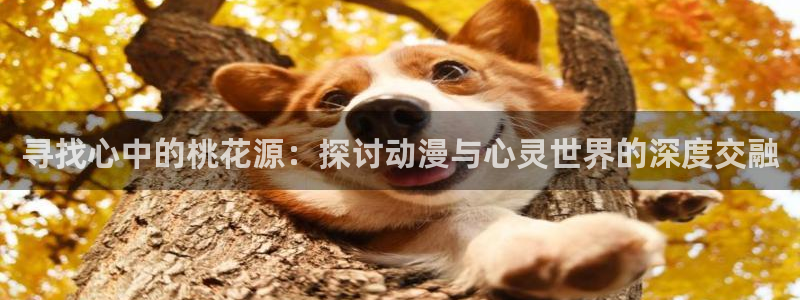 omofun动漫网站：寻找心中的桃花源：探讨动漫与心灵世界的深度交融