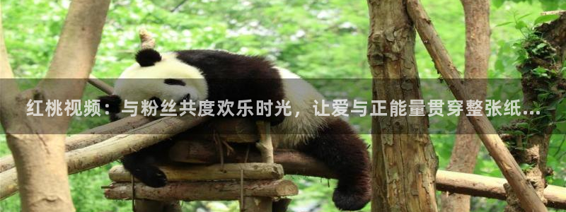 .omofun：红桃视频：与粉丝共度欢乐时光，让爱与正能量贯穿整张纸...