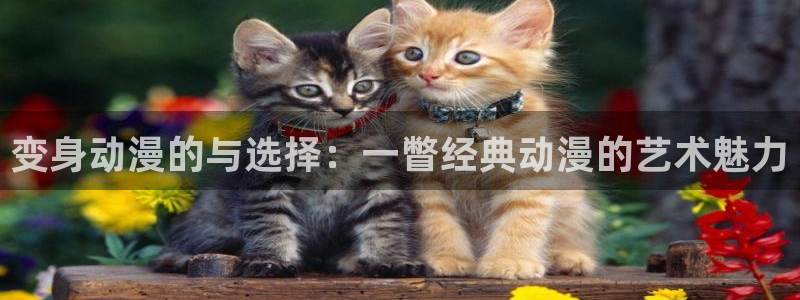omofun动漫在线：变身动漫的与选择：一瞥经典动漫的艺术魅力