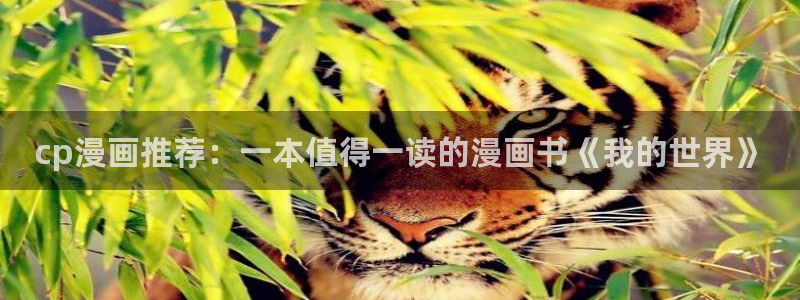 omofun正版官方下载链接：cp漫画推荐：一本值得一读的漫画书《我的世界》