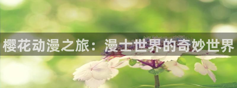 omofun动漫网页版：樱花动漫之旅：漫士世界的奇妙世界