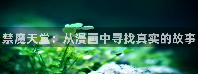 omofun网页版怎么没了：禁魔天堂：从漫画中寻找真实的故事