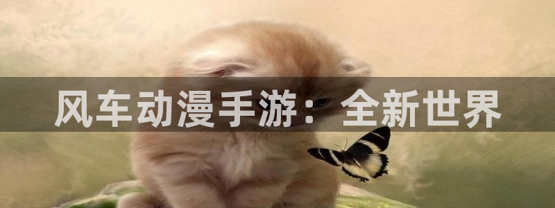 omofun动漫在线：风车动漫手游：全新世界
