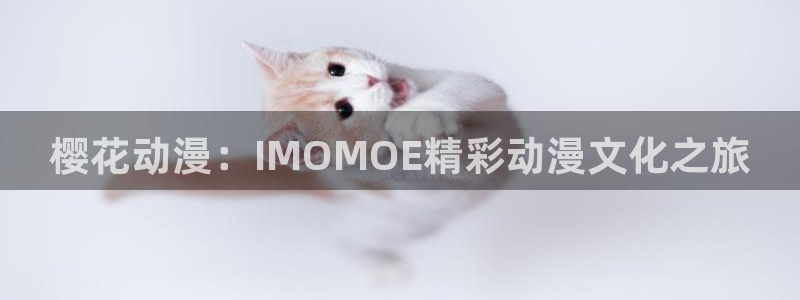 女神降临omofun动漫：樱花动漫：IMOMOE精彩动漫文化之旅