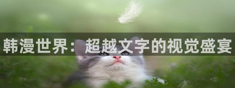 omofunv：韩漫世界：超越文字的视觉盛宴