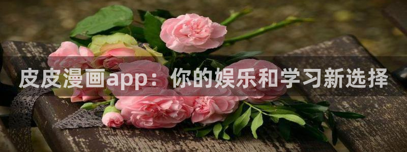 omofun.top：皮皮漫画app：你的娱乐和学习新选择