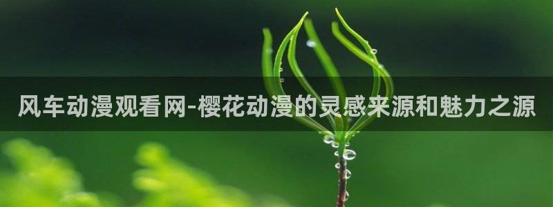 omofun免签：风车动漫观看网-樱花动漫的灵感来源和魅力之源