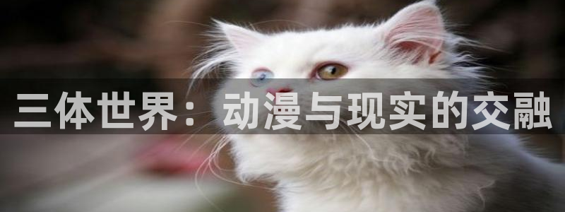 omofun动漫网址：三体世界：动漫与现实的交融