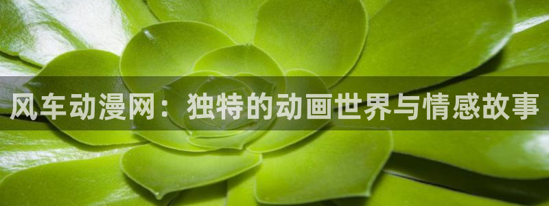 omofun动漫安卓下载：风车动漫网：独特的动画世界与情感故事