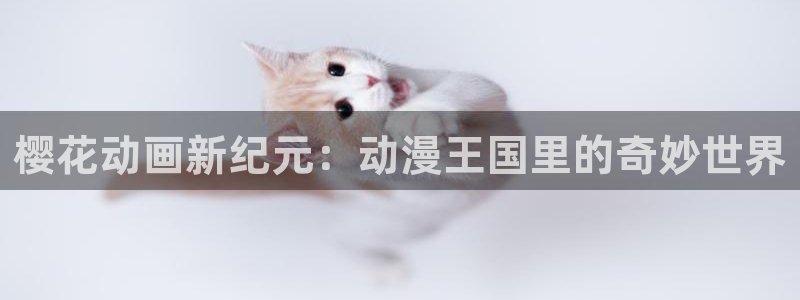 omofun动漫地址下载：樱花动画新纪元：动漫王国里的奇妙世界