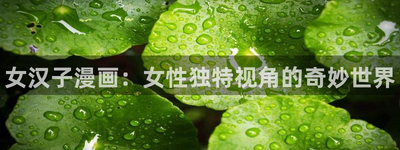 o站(omofun)官网：女汉子漫画：女性独特视角的奇妙世界
