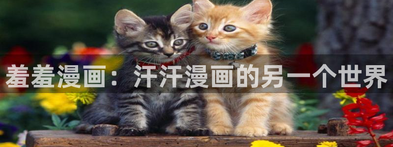 omofun网页版登录入口