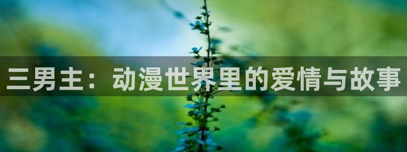动漫共和国omofun下载：三男主：动漫世界里的爱情与故事