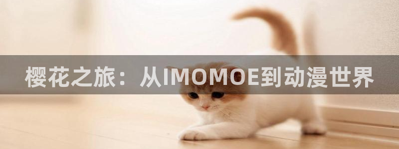 @omofun：樱花之旅：从IMOMOE到动漫世界