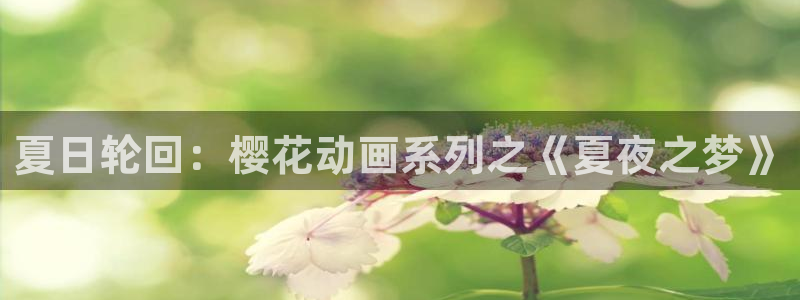 omofun动漫软件：夏日轮回：樱花动画系列之《夏夜之梦》