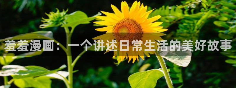 omofun在线观看免费动漫：羞羞漫画：一个讲述日常生活的美好故事