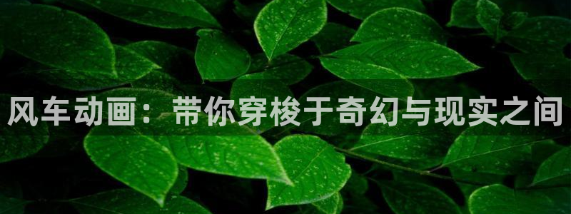 网页版omofun：风车动画：带你穿梭于奇幻与现实之间