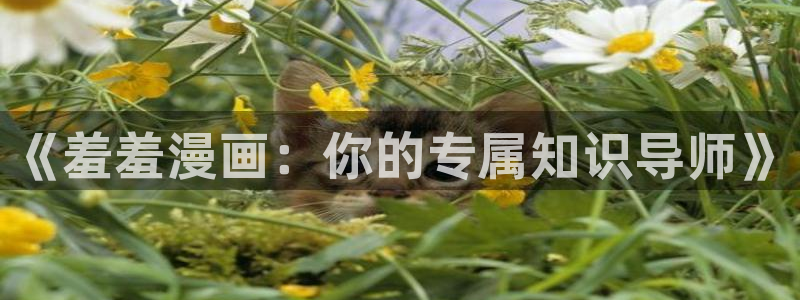 omofun动漫官网入口网址：《羞羞漫画：你的专属知识导师》
