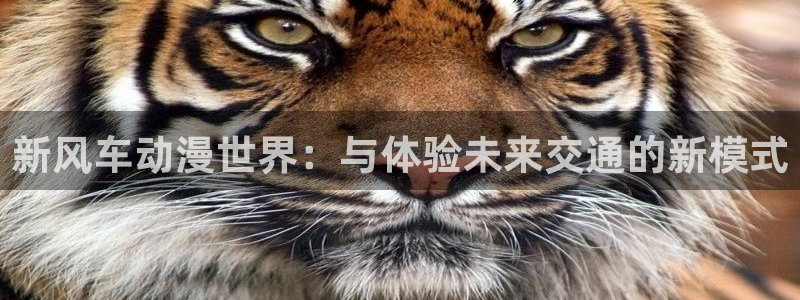 omofun 翻译：新风车动漫世界：与体验未来交通的新模式
