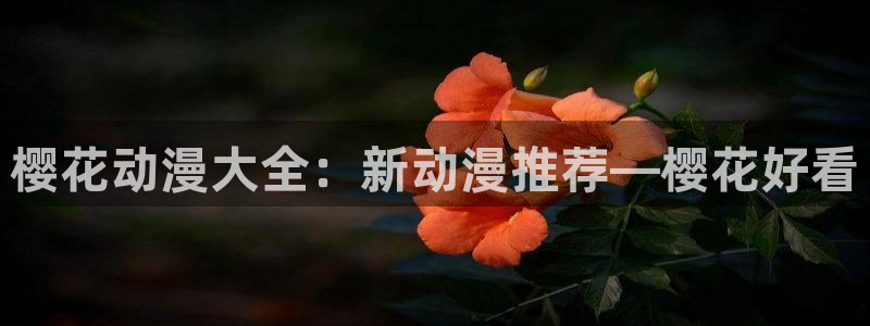 omofun无广告：樱花动漫大全：新动漫推荐—樱花好看