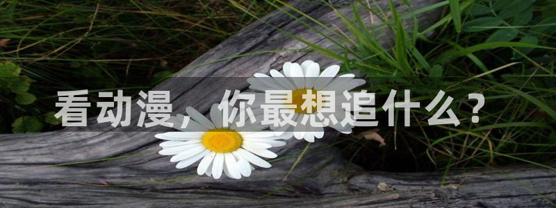 omofun动漫免费看官网入口在哪：看动漫，你最想追什么？
