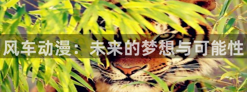 omofun正版官方下载链接：风车动漫：未来的梦想与可能性