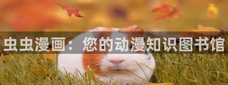omofun正版下载：虫虫漫画：您的动漫知识图书馆